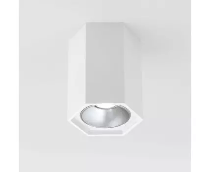 Накладной светильник Elektrostandard 25036/LED