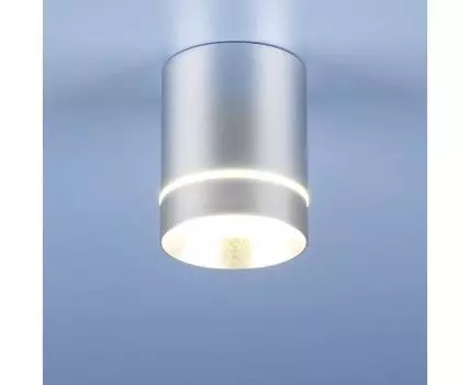 Накладной светильник Elektrostandard