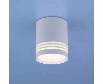 Накладной светильник Elektrostandard