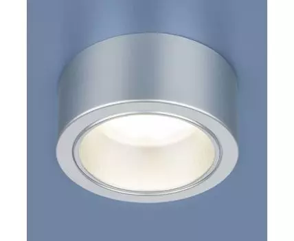 Накладной светильник Elektrostandard