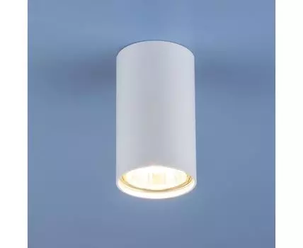 Накладной светильник Elektrostandard