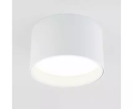 Накладной светильник Elektrostandard Banti