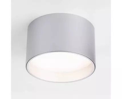 Накладной светильник Elektrostandard Banti