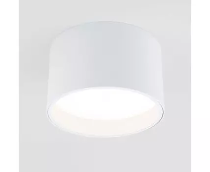 Накладной светильник Elektrostandard Banti