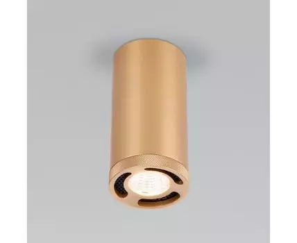 Накладной светильник Elektrostandard Lead