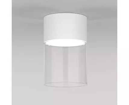 Накладной светильник Elektrostandard Lumen