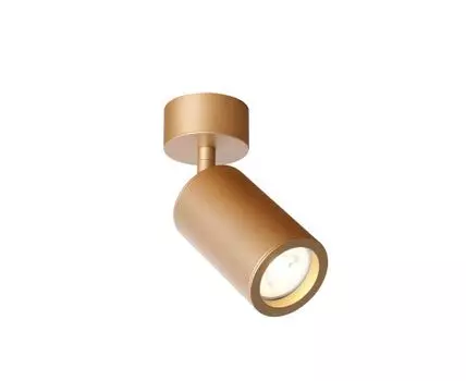 Накладной светильник Favourite Angularis