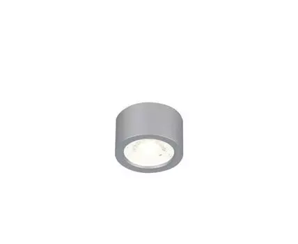 Накладной светильник Favourite Deorsum