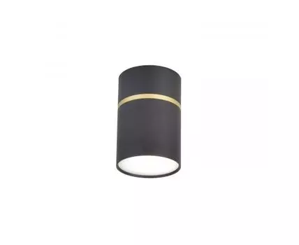 Накладной светильник Favourite Dunia