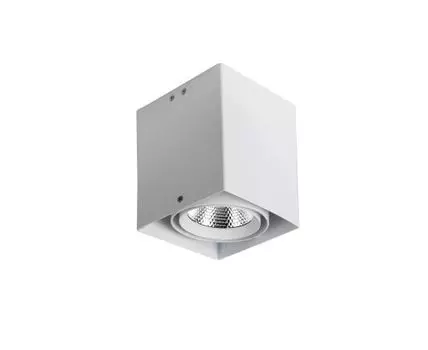 Накладной светильник Favourite Flashled