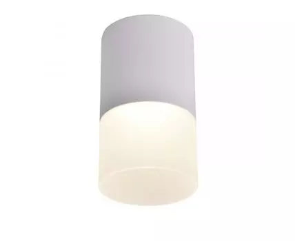 Накладной светильник Favourite Naram