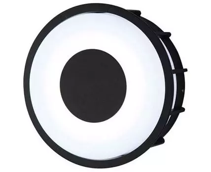 Накладной светильник L Arte Luce Telma L78056.31