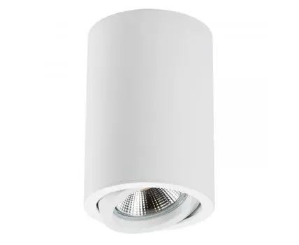 Накладной светильник LightStar декоративный под заменяемые галогенные или LED лампы Rullo