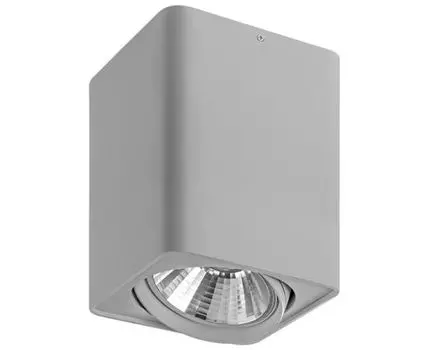 Накладной светильник LightStar Monocco