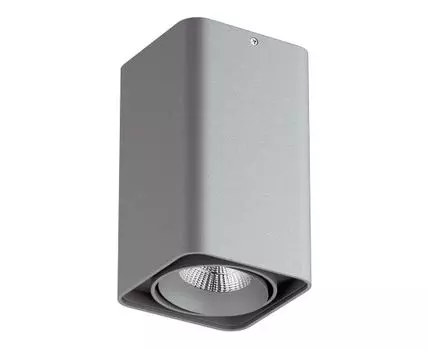 Накладной светильник LightStar Monocco