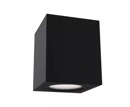 Накладной светильник Maytoni Alfa