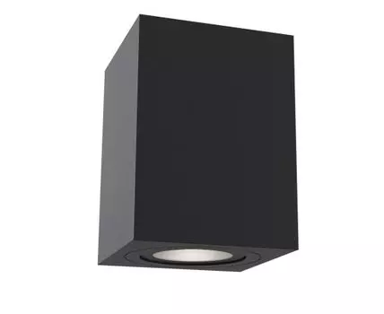 Накладной светильник Maytoni Alfa