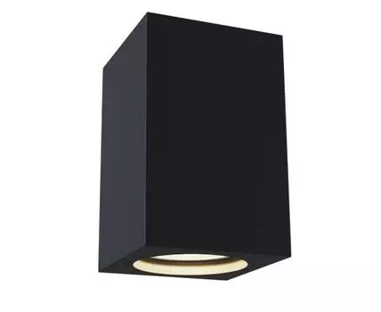 Накладной светильник Maytoni Alfa