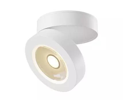 Накладной светильник Maytoni Alivar