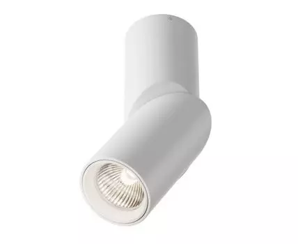 Накладной светильник Maytoni Dafne