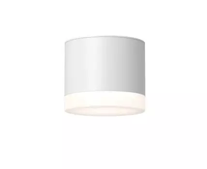 Накладной светильник Maytoni Pauline