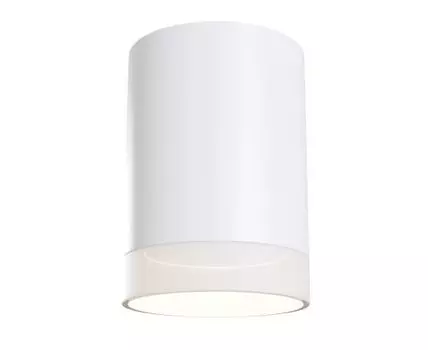 Накладной светильник Maytoni Pauline