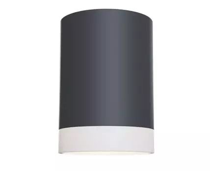 Накладной светильник Maytoni Pauline