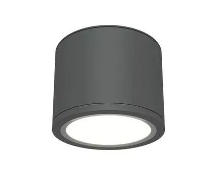 Накладной светильник Maytoni Rendo