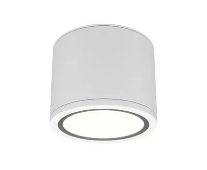 Накладной светильник Maytoni Rendo