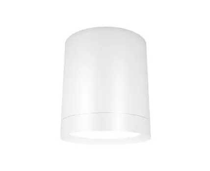 Накладной светильник Maytoni Technical Hoop