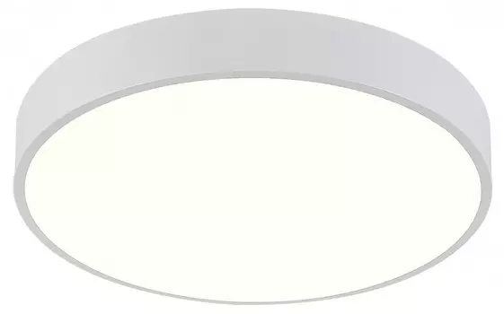 Накладной светильник Natali Kovaltseva LED LAMPS 81111/5C