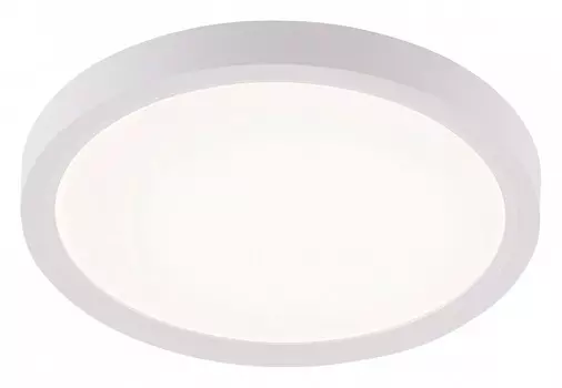 Накладной светильник Natali Kovaltseva PLAIN LED LAMPS 81113/1C