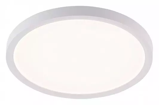 Накладной светильник Natali Kovaltseva PLAIN LED LAMPS 81113/2C