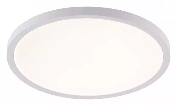 Накладной светильник Natali Kovaltseva PLAIN LED LAMPS 81113/3C
