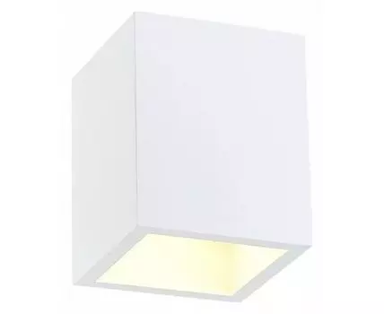 Накладной светильник SIMPLE STORY 2019 2019-1CLW