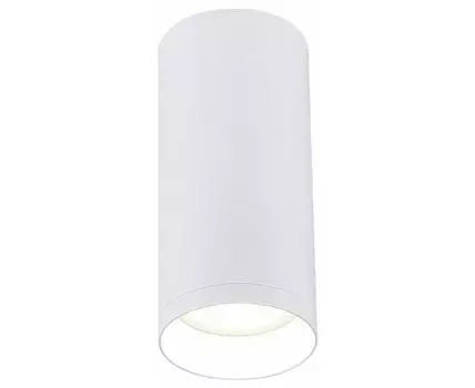 Накладной светильник SIMPLE STORY 2034 2034-1CLW