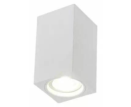 Накладной светильник SIMPLE STORY 2035 2035-1CLW