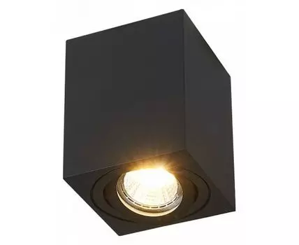 Накладной светильник SIMPLE STORY 2038 2038-1CLB