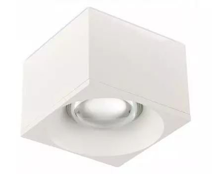 Накладной светильник SIMPLE STORY 2061 2061-LED12CLW