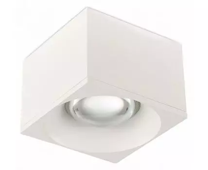 Накладной светильник SIMPLE STORY 2062 2062-LED12CLW