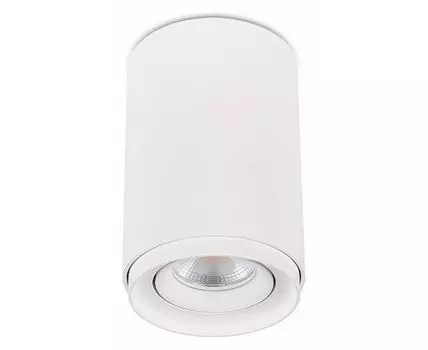 Накладной светильник SIMPLE STORY 2065 2065-1CLW