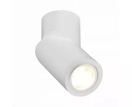 Накладной светильник ST Luce ST650