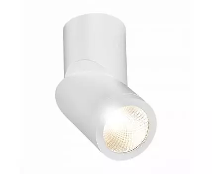 Накладной светильник ST Luce ST650