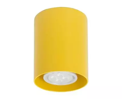 Накладной светильник TopDecor Tubo