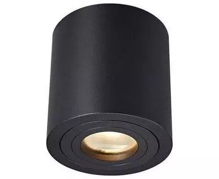 Накладной светильник Zumaline Rondip ACGU10-159