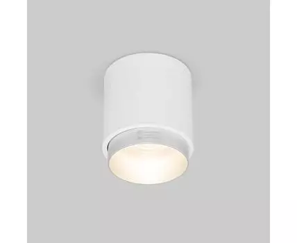 Накладной светодиодный светильник Cors 25032/LED 10W 4200K белый/серебро