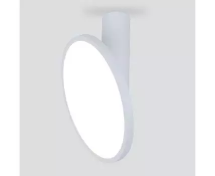 Накладной светодиодный светильник DLS029