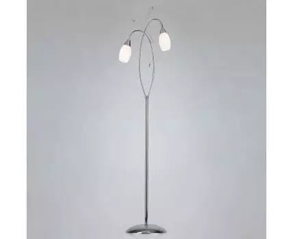 Напольный светильник со стеклянными плафонами 22080/2F хром