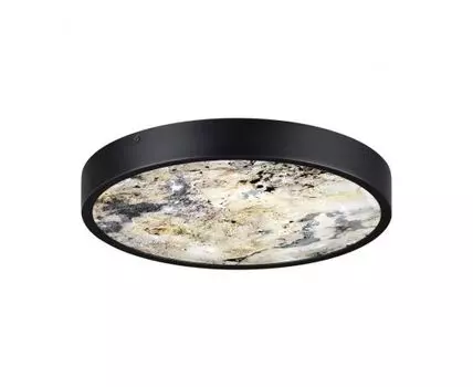 Настенно-потолочный светильник BERGI Odeon Light