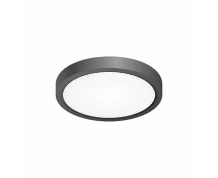 Настенно-потолочный светильник CitiLux Бейсик